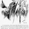 Education: Zim Cartooning Course: Volume 3 - Image 6